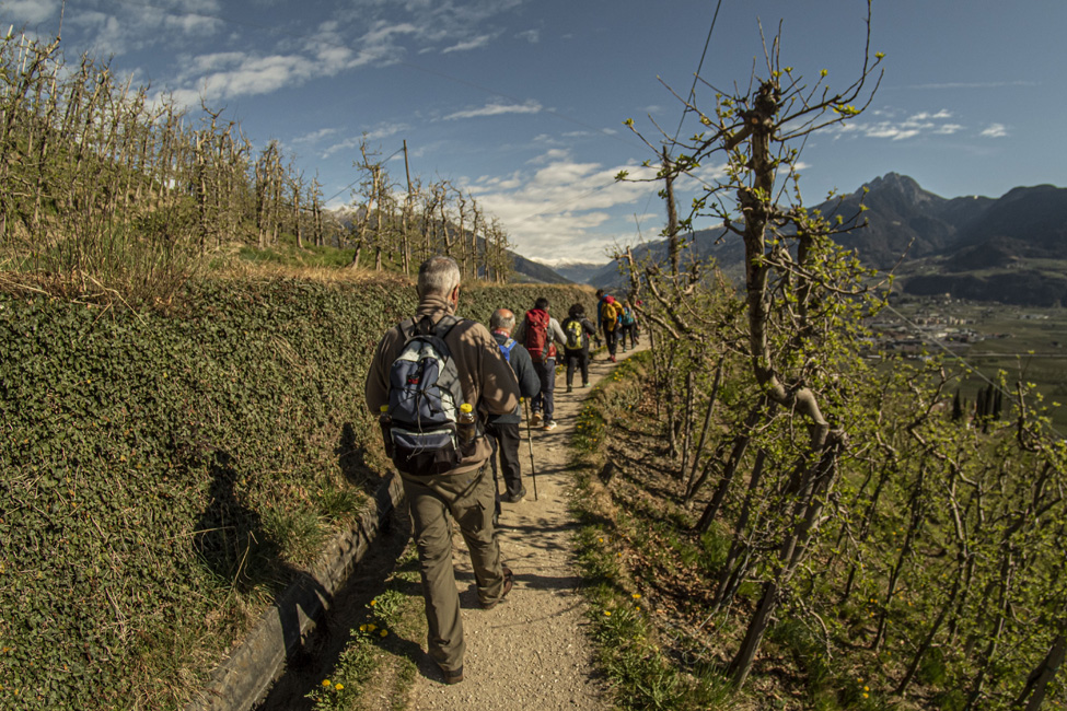 Waalvege Marlengo (4).jpg